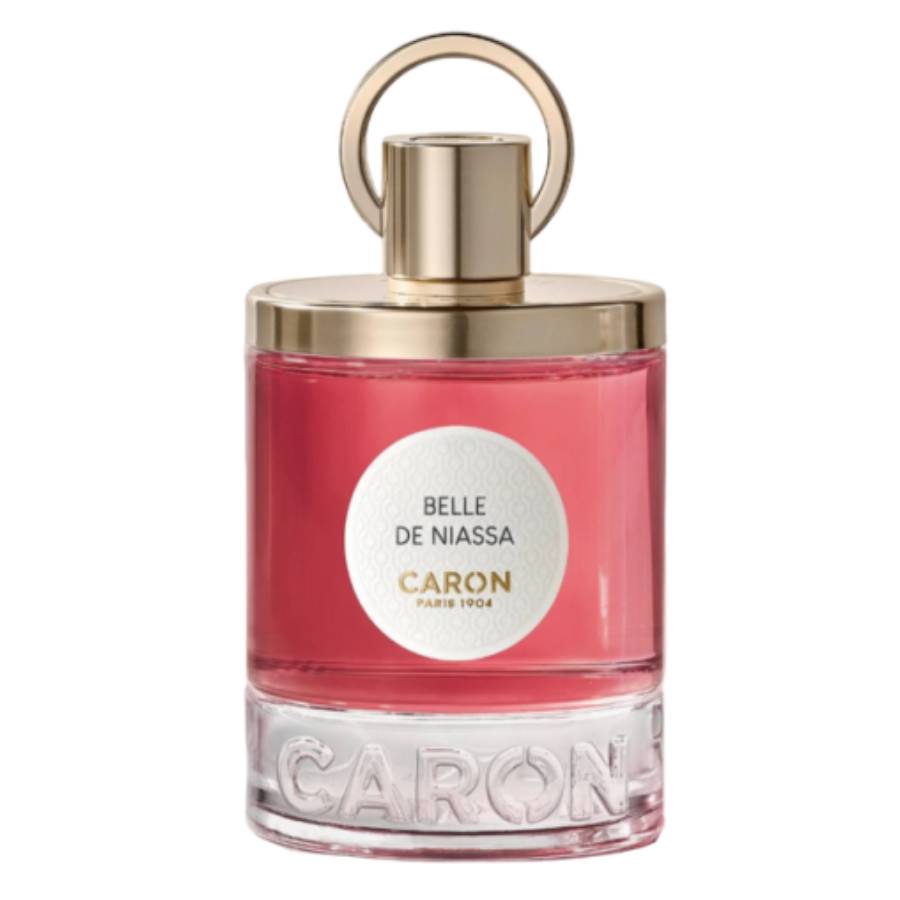 Caron Belle De Niassa 3.4 oz 3387957702117 Z-6HD4R