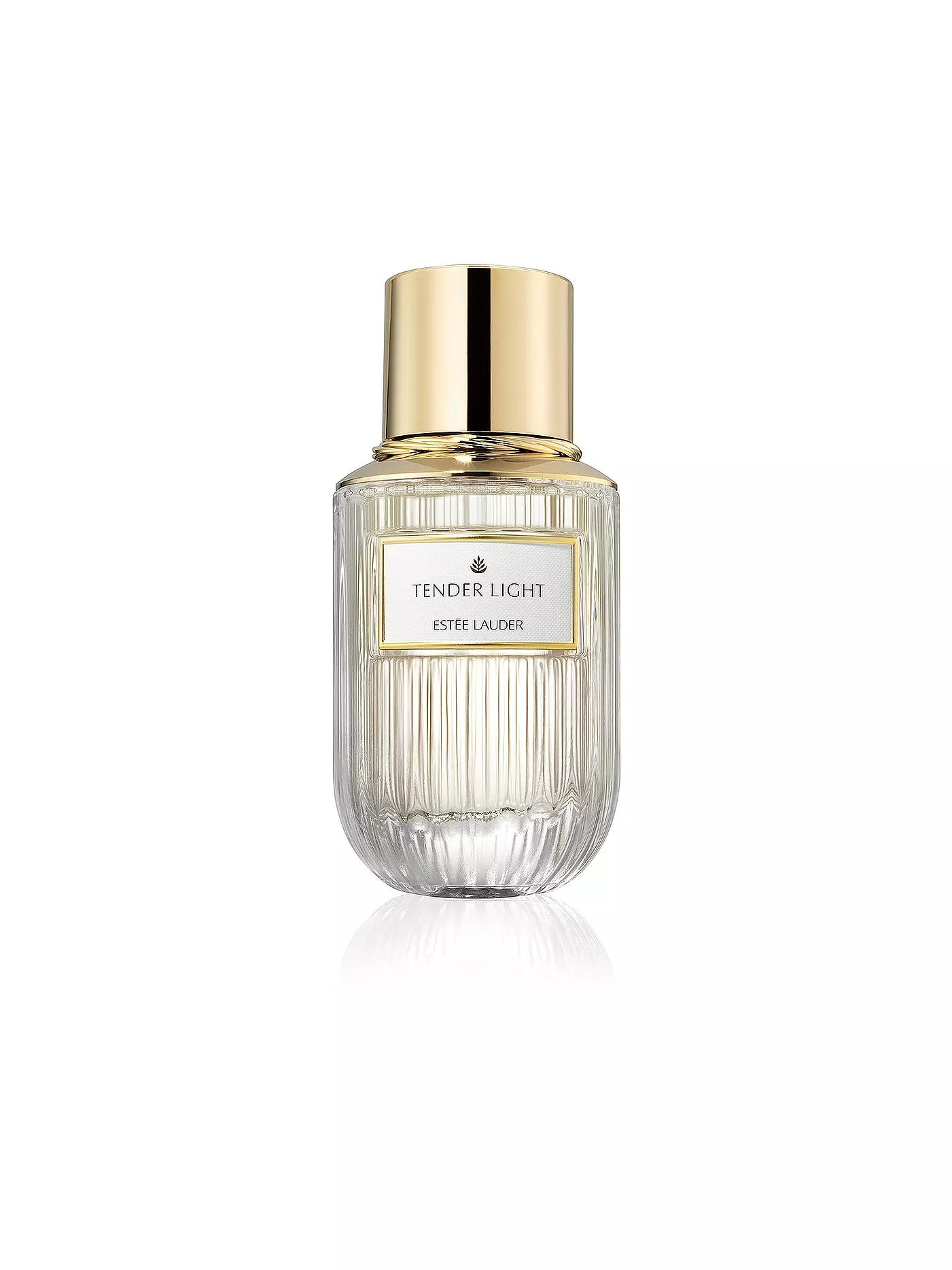Estee Lauder Tender Light 1.3 oz 887167607569 Z-EKJUA