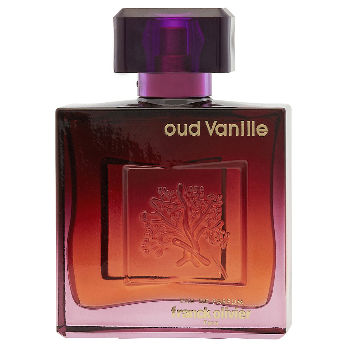 Franck Olivier Oud Vanille 3.4 oz / 100 ml 3516641717315 Z-RFDB7