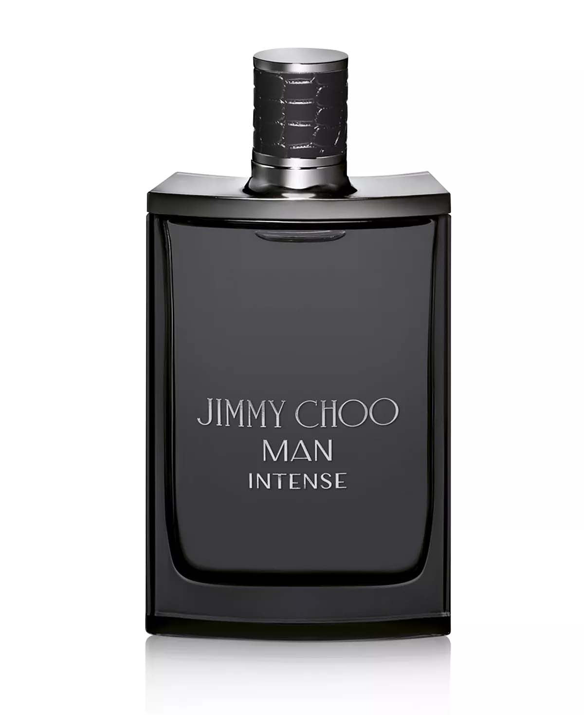 Jimmy Choo Man Intense 6.7 oz / 200 ml 3386460108768 COS-JCNMTS67